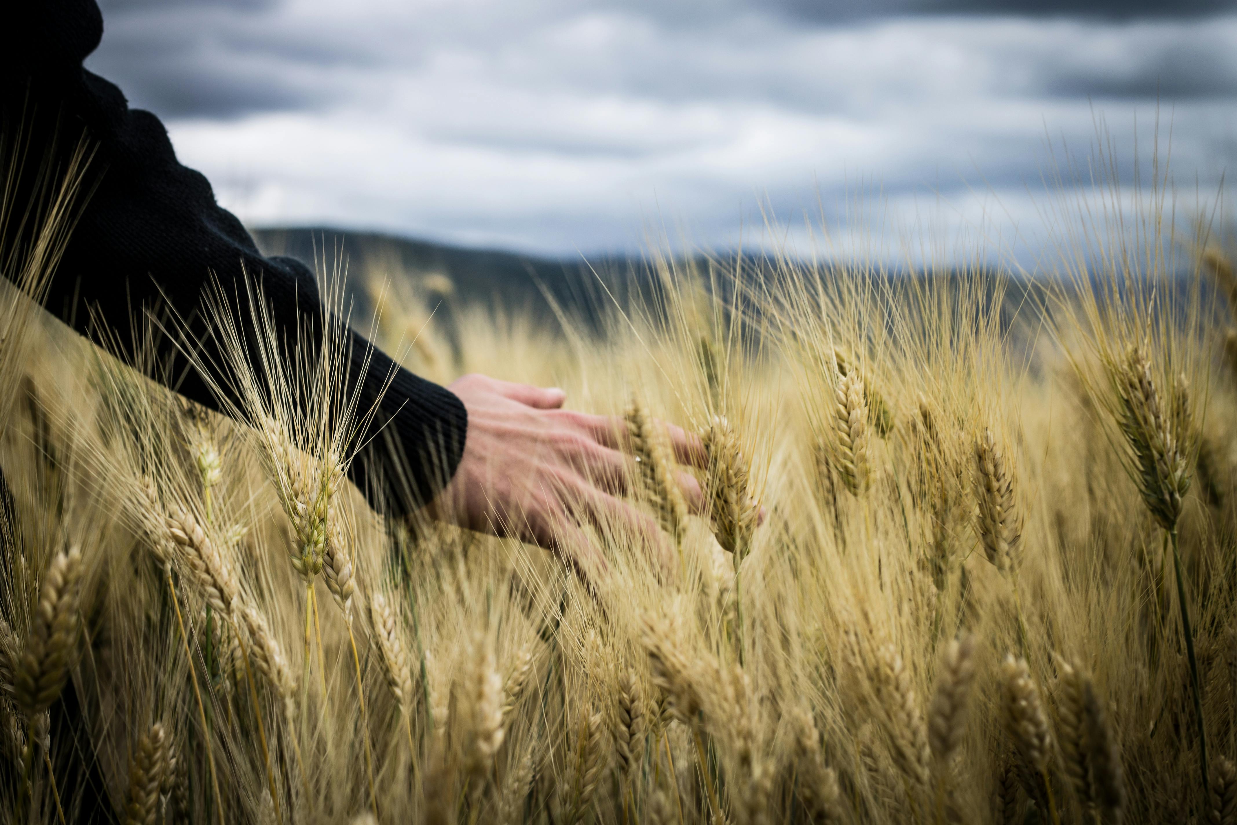 Lithuanian scientists are welcome to take part in Sustainable Agriculture and Climate Change researches