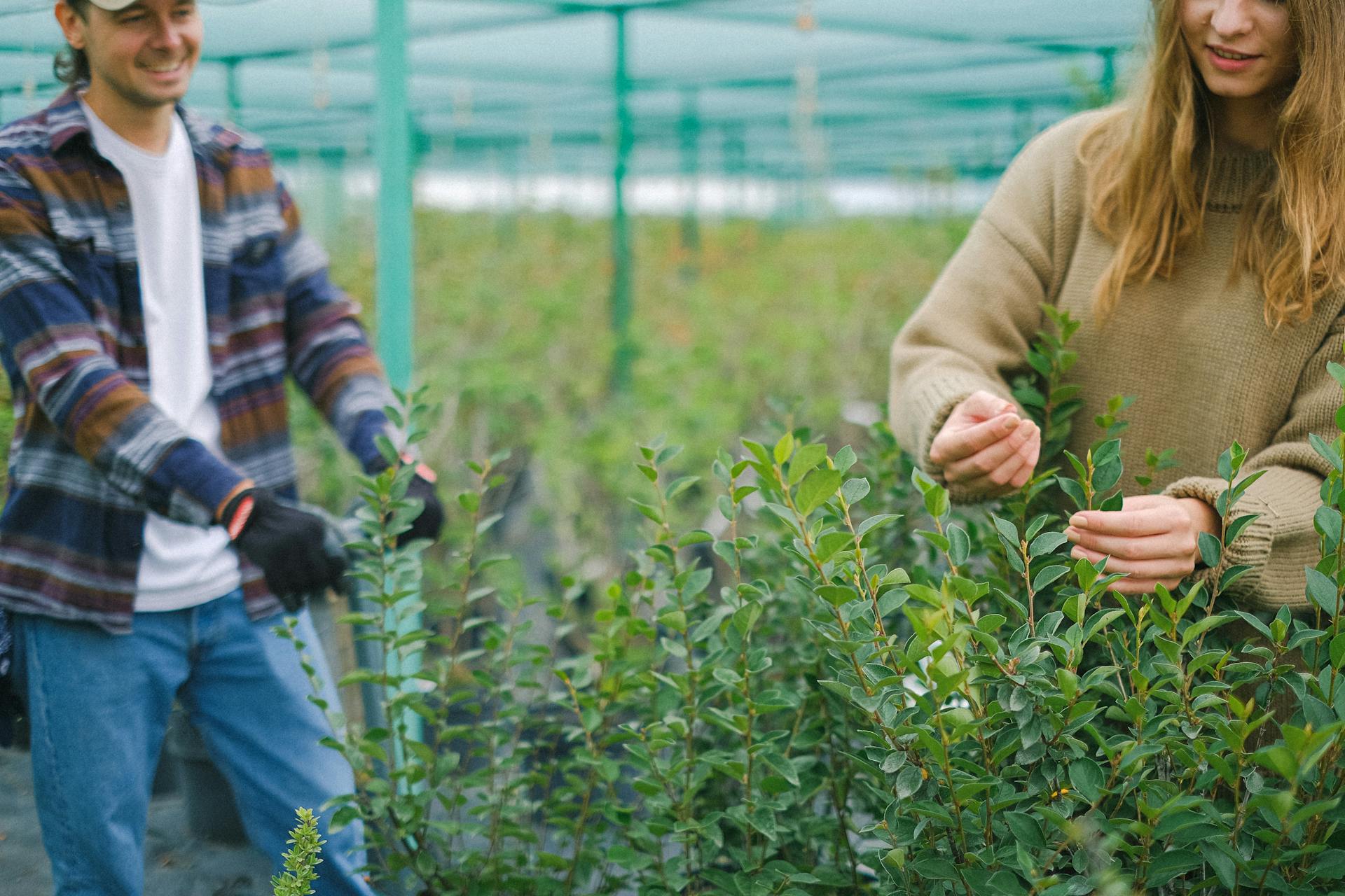 BeUBio – jaunimas, bioekonomika ir Darnaus vystymosi tikslai  Baltijos jūros regione